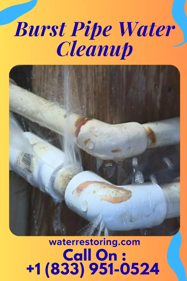 Burst Pipe Water Cleanup in Hardin, IL