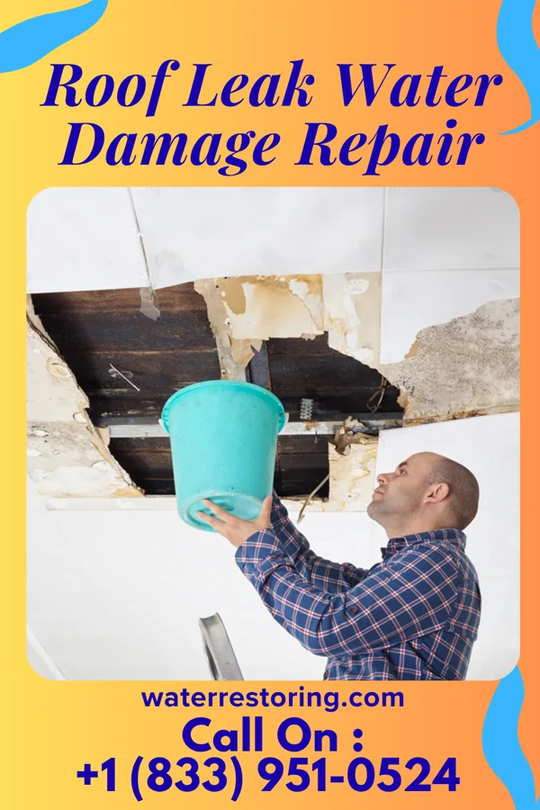 Roof Leak Water Damage Repair in Hardin, IL