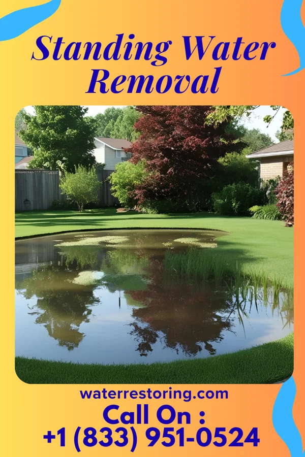 Standing Water Removal in Hardin, IL